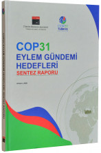 COP31 Eylem Gündemi Hedefleri: Sentez Raporu